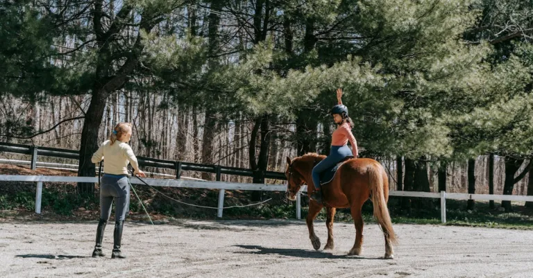 découvrez nos formations pour développer vos compétences de formateur. apprenez à concevoir des sessions engageantes, à adapter votre approche aux besoins des apprenants et à maîtriser les techniques de communication essentielles pour un partage efficace des connaissances.