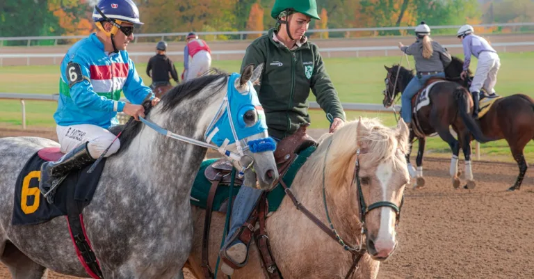 découvrez notre formation dynamique en animation, idéale pour développer vos compétences créatives. apprenez à utiliser les outils d'animation les plus récents et donnez vie à vos idées avec des techniques professionnelles. rejoignez-nous et transformez votre passion en expertise !