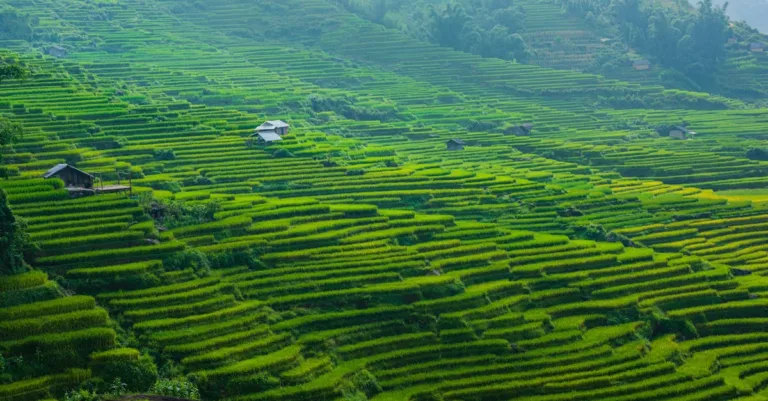 découvrez les différentes méthodes pédagogiques qui enrichissent l'apprentissage et favorisent l'engagement des élèves. explorez des approches innovantes, des techniques d'enseignement variées et des stratégies efficaces pour améliorer la réussite éducative.