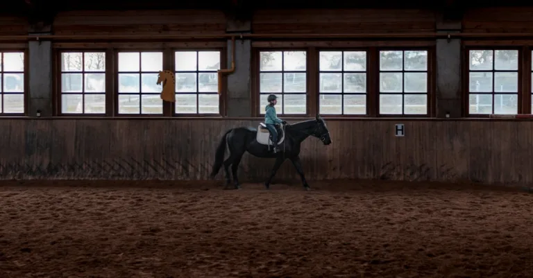 découvrez notre programme de formation complet qui vous permettra d'acquérir de nouvelles compétences et d'améliorer vos performances professionnelles. rejoignez-nous pour bénéficier d'une expérience d'apprentissage immersive et interactive.