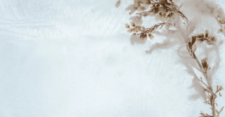 découvrez indesign, le logiciel de référence pour le design graphique et la mise en page professionnelle. créez des brochures, magazines, et livres facilement grâce à ses outils puissants et intuitifs. un incontournable pour les créateurs et les professionnels du print et du digital.