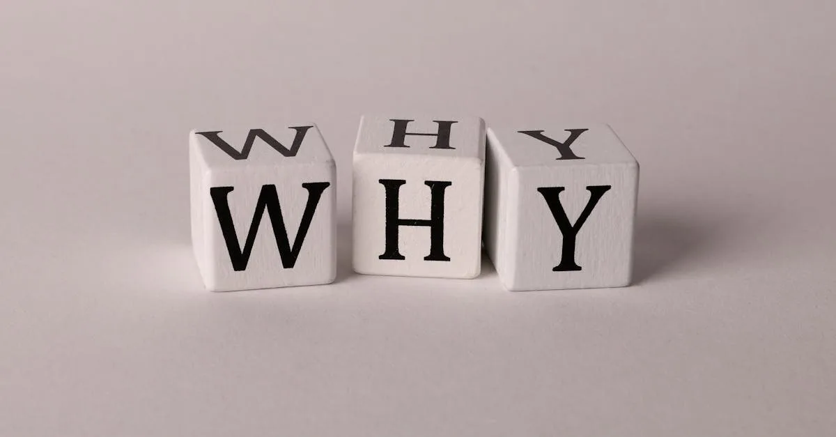 découvrez notre contenu dédié à « query » : des informations précises et utiles pour répondre à toutes vos questions.