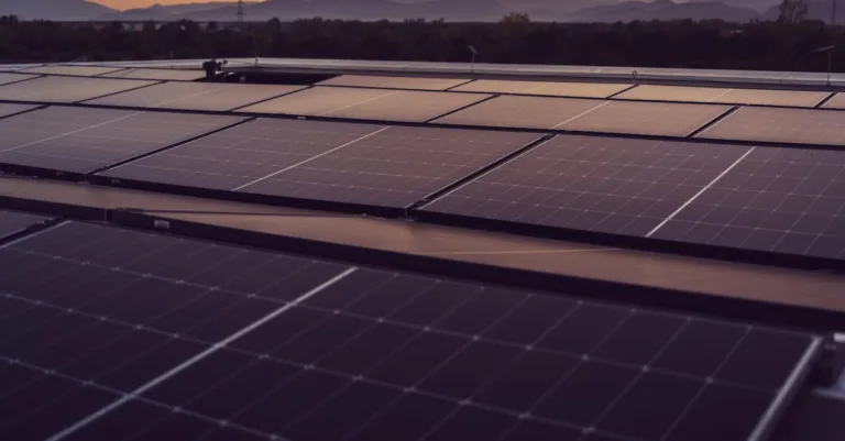 découvrez des stratégies efficaces pour réduire votre empreinte carbone et contribuer à un avenir plus durable.