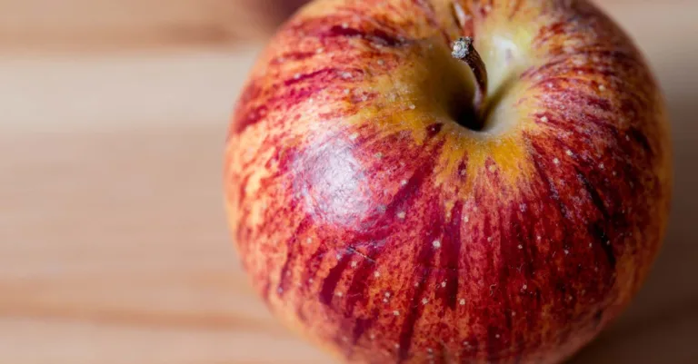 découvrez les avantages de la nutrition personnalisée pour améliorer votre santé, optimiser votre bien-être et atteindre vos objectifs grâce à une alimentation adaptée à vos besoins spécifiques.