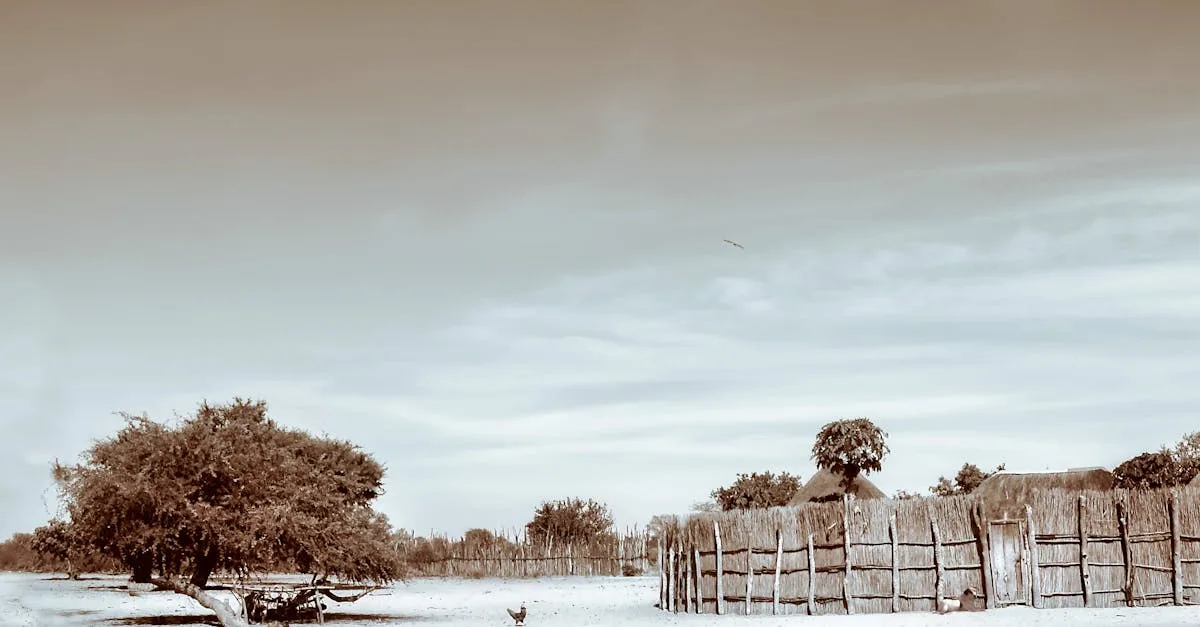 découvrez l'histoire fascinante des triplés de belleville, une aventure unique pleine d'émotions et de surprises.