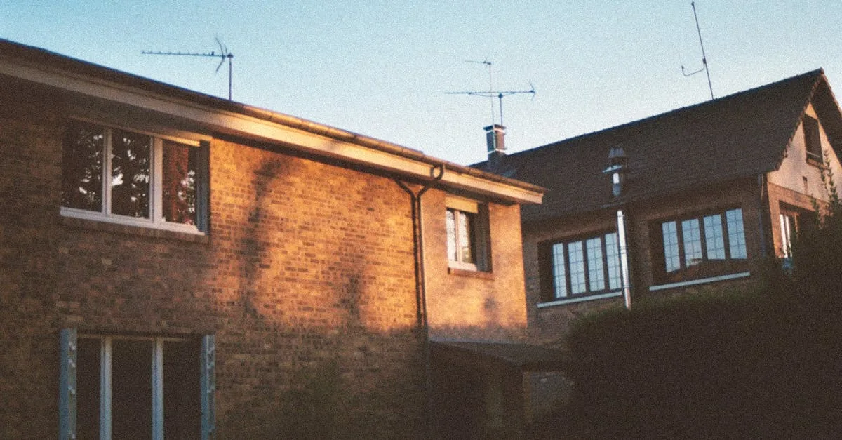 découvrez l'histoire fascinante des triplés de belleville, une aventure unique remplie d'émotions et de découvertes.