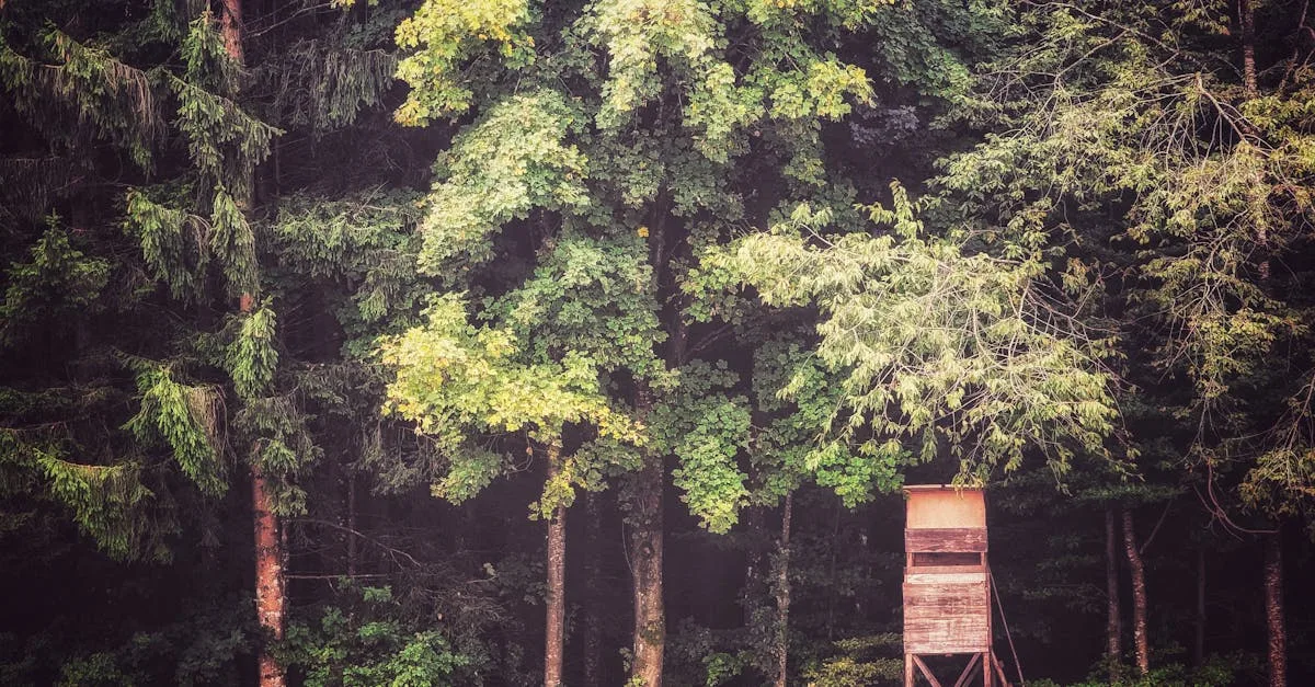 découvrez notre plateforme de chasse innovante, conçue pour optimiser vos expéditions et améliorer vos techniques de chasse en toute sécurité.