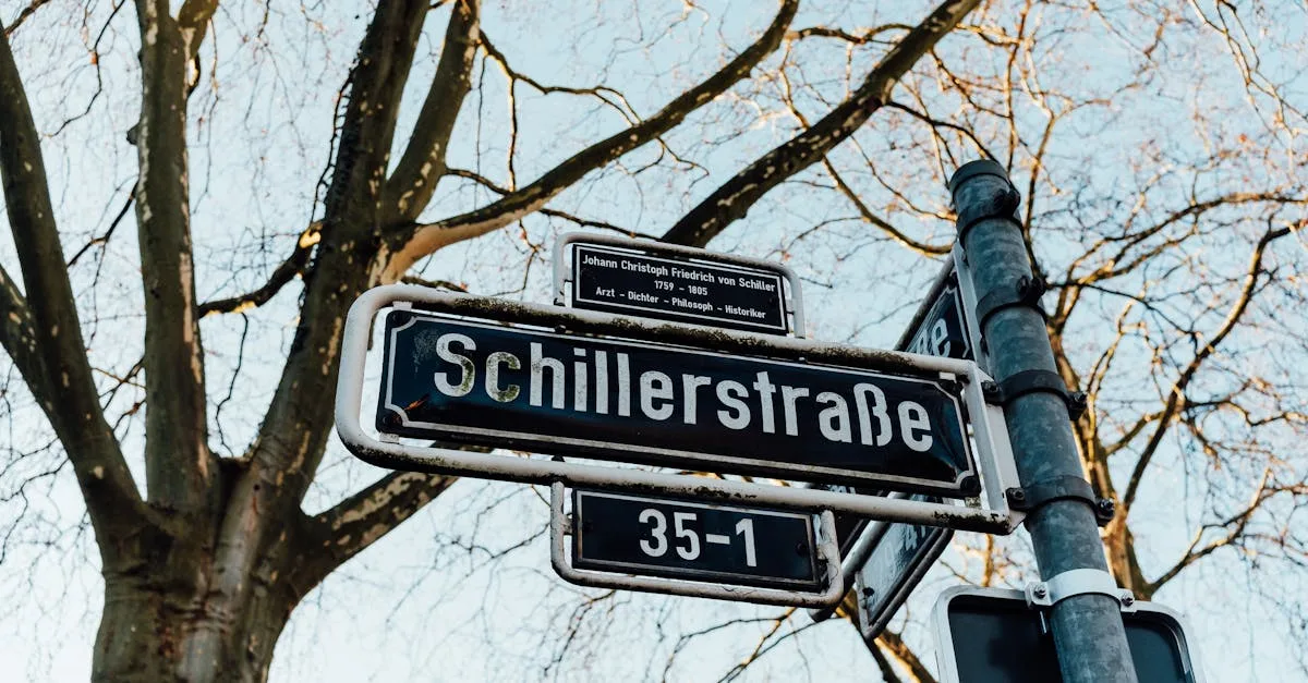 découvrez l'origine et l'histoire des noms de rues, leur signification et leur importance dans l'identité des quartiers.