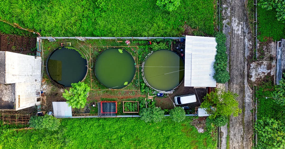 découvrez l'aquaponie, un système écologique combinant aquaculture et culture de plantes pour un jardinage durable et innovant.