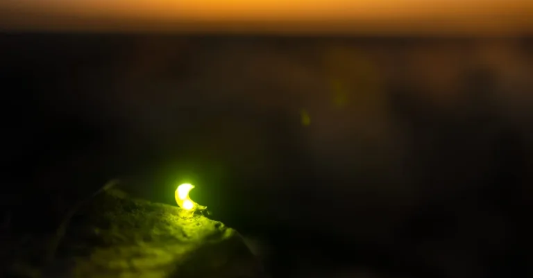découvrez glowble, une expérience unique qui éveille vos sens et illumine votre quotidien avec élégance et innovation.