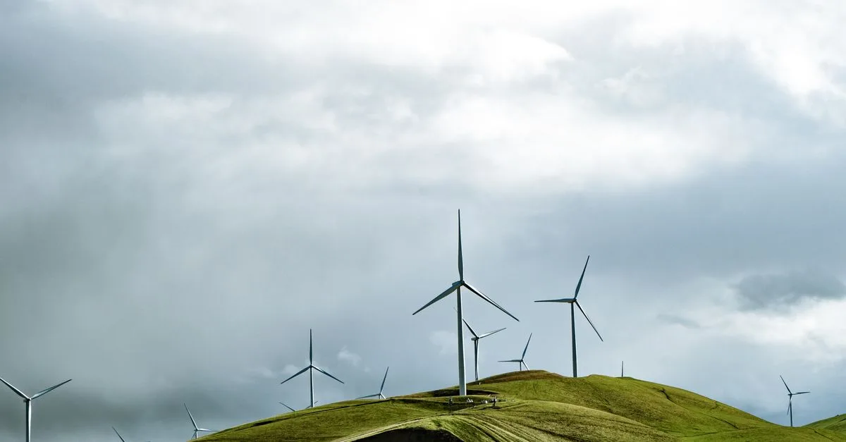 découvrez les régulations environnementales essentielles pour protéger notre planète, garantir le développement durable et respecter les normes légales en matière d'écologie.
