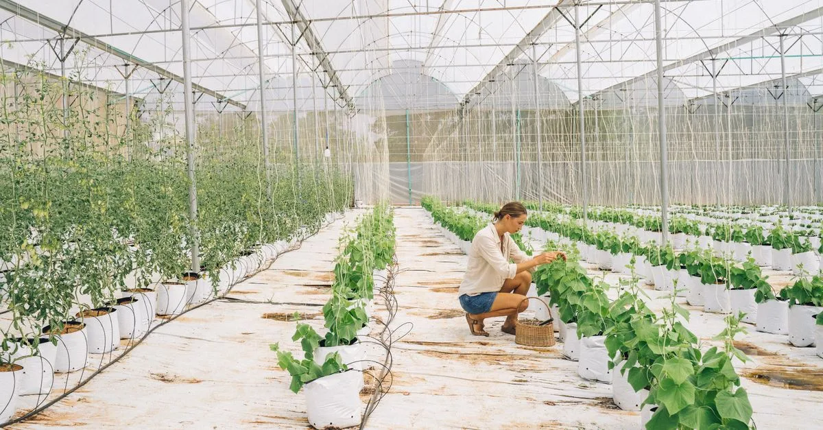 découvrez l'agriculture écologique innovante, une approche durable alliant technologie et respect de l'environnement pour une production responsable et efficace.